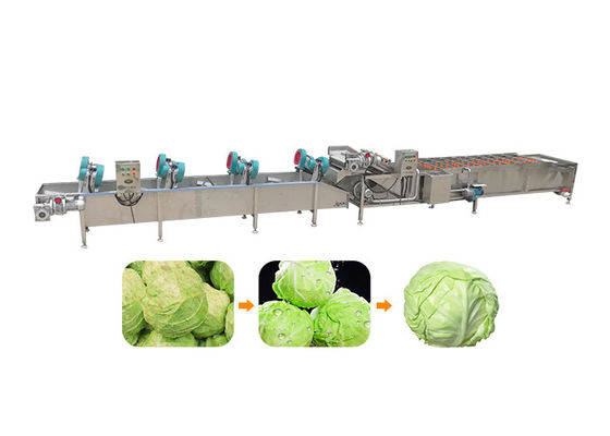 Máquina da limpeza vegetal de 5.1KW 380v 50hz 1500kg/H