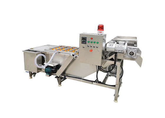 Máquina de lavar do fruto do ozônio da bolha de ar SS304 3.75KW