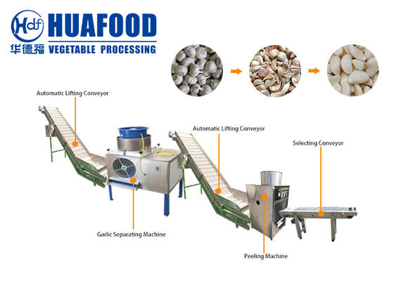 1000-2000 linha de produção automática industrial da máquina do processamento de Peeler do alho do kg/h
