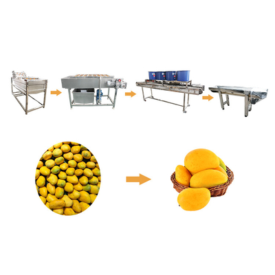 Linha principal da limpeza das frutas e legumes da máquina de lavar vegetal da manga grande