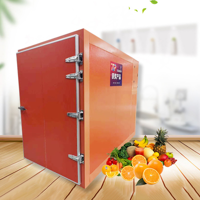 Secador vegetal Tray Type Fruit Dehydrator da máquina de secagem do alimento da circulação de ar