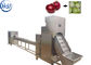 Pó da cebola do equipamento de processamento da cebola do produto comestível que faz a máquina 12 - 85kw
