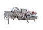 Linha de lavagem vegetal do redemoinho de Ac380v Sus304 1000kg/H
