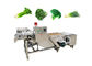 Frutifica a máquina de lavar 380V vegetal com transporte