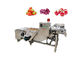 Máquina de lavar vegetal da bolha de ar do fruto SUS304 500kg/h