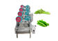 Máquina de secagem do alimento do vegetal de fruto 0.5TPH da transformação de produtos alimentares