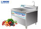 Máquina de lavar vegetal dos espinafres 150KG/H para os rizomas e frutos conservados