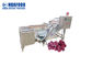 máquina de processamento vegetal da uva da máquina de lavar 500kg/hr em passas