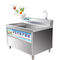 Máquina pequena da bolha de ar da máquina de lavar das frutas e legumes 150KG