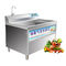 Máquina pequena da bolha de ar da máquina de lavar das frutas e legumes 150KG
