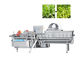 máquina de corte da alface do cortador da folha do verde 1000kg/H para o vegetal de salada do fruto