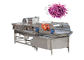 máquina de corte da alface do cortador da folha do verde 1000kg/H para o vegetal de salada do fruto
