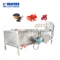 Máquina ultrassônica automática da máquina de lavar e do descascamento do vegetal de fruto