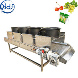 Máquina vegetal contínua do secador do fruto, largura 600mm da correia transportadora da máquina do desidratador do alimento