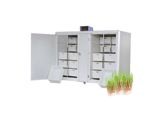 máquina comercial Bean Seed Sprout Machine automático da germinação da semente 250kg/d