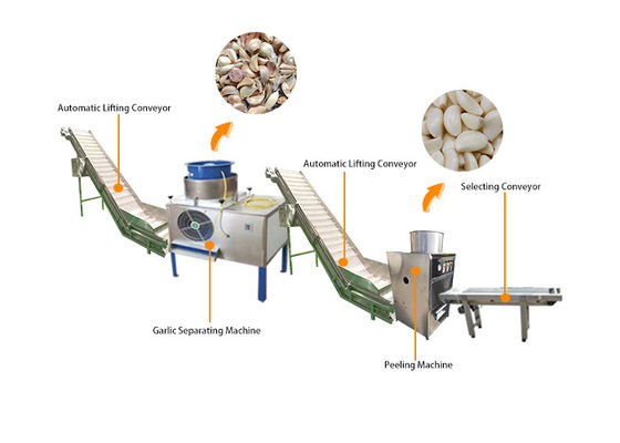 Alho automático industrial que quebra descascando a linha de produção da máquina do processamento de Peeler