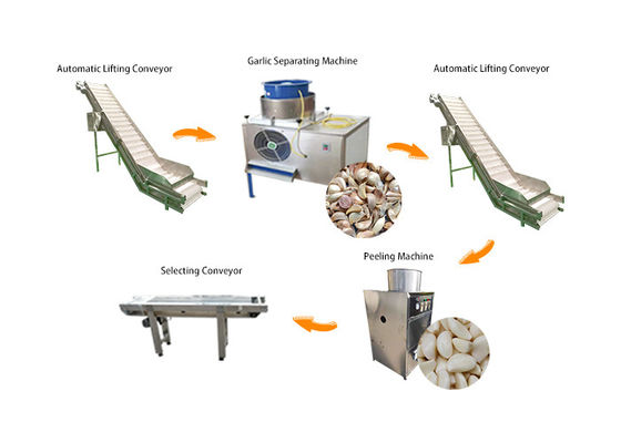 Alho a rendimento elevado que processa a linha de produção/a máquina de Peeler casca do alho