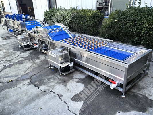 Máquina de lavar frutas e vegetais com penas e 220 V de tensão