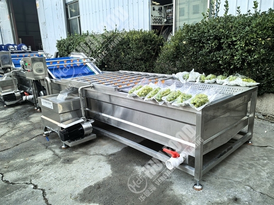 Máquina de lavar frutas e vegetais com penas e 220 V de tensão