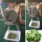 Cortador do legume verde das empresas da restauração, máquina de corte da batata