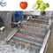 Equipamento de lavagem das frutas e legumes automáticas das máquinas da transformação de produtos alimentares