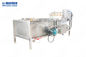 Vegetal da máquina de lavar da bolha SUS304 e para frutificar máquina da limpeza do alimento 500kg/H