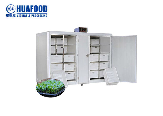 máquinas automáticas Mung Bean Sprout Machine da transformação de produtos alimentares 250kg/Day