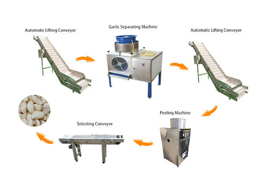 Alho automático industrial que quebra descascando a linha de produção da máquina do processamento de Peeler
