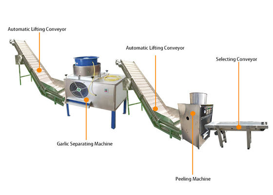 Alho automático industrial que quebra descascando a linha de produção da máquina do processamento de Peeler